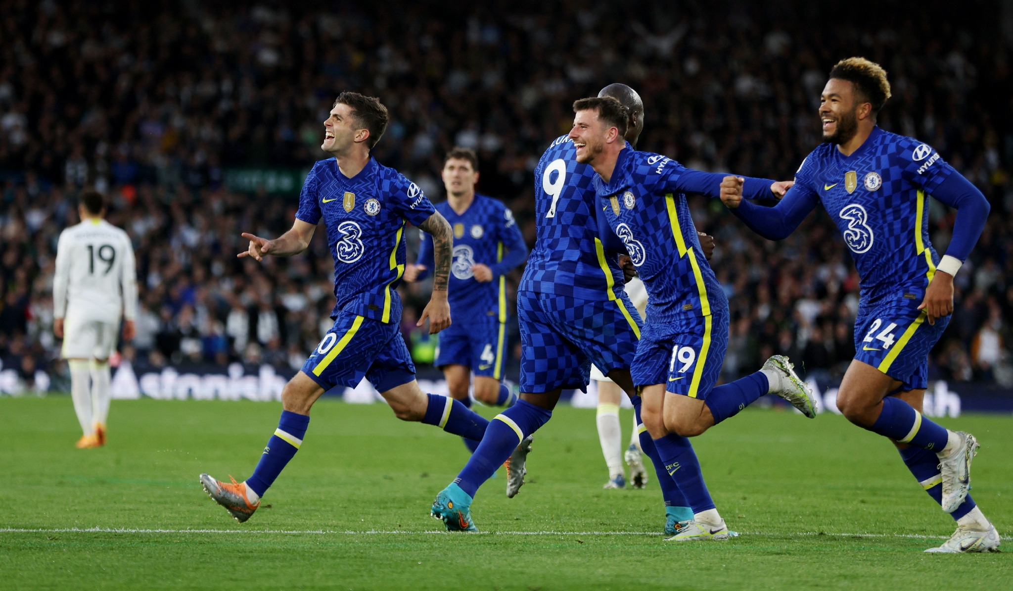 猫粮包装设计_东莞产品包装盒设计